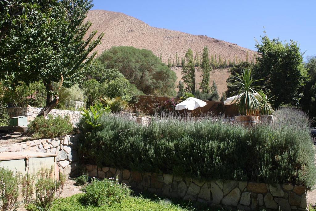 Hotel El Milagro Pisco Elqui Kültér fotó