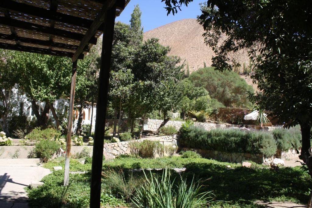 Hotel El Milagro Pisco Elqui Kültér fotó